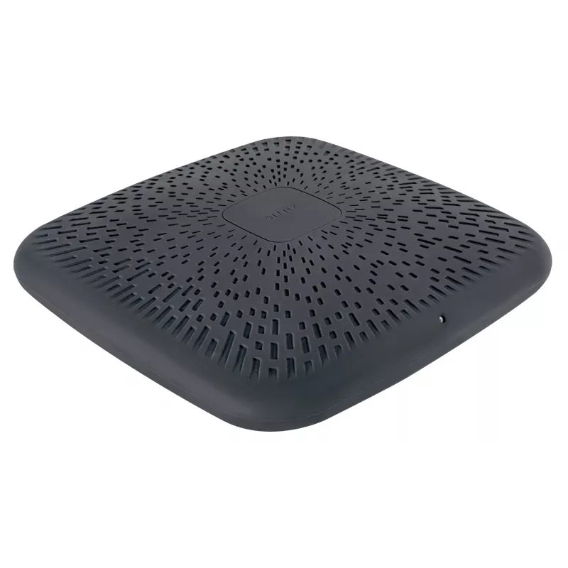 Leitz Ergo Active Wobble pagalvėlė, Balansinė pagalvėlė, Pilka, 360 mm, 360 mm, 55 mm, 1,24 kg