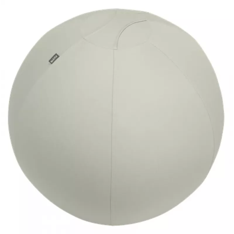 Leitz Ergo Active sėdėjimo kamuolys su stabdymo funkcija 65 cm, pilka