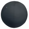„Leitz Ergo“ aktyvus sėdėjimo kamuolys su stabdymo funkcija 65 cm, pilkas, pilno dydžio, 150 kg, TÜV, 65 cm, 2,87 kg
