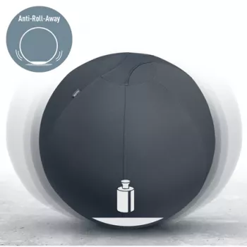 „Leitz Ergo“ aktyvus sėdėjimo kamuolys su stabdymo funkcija 65 cm, pilkas, pilno dydžio, 150 kg, TÜV, 65 cm, 2,87 kg