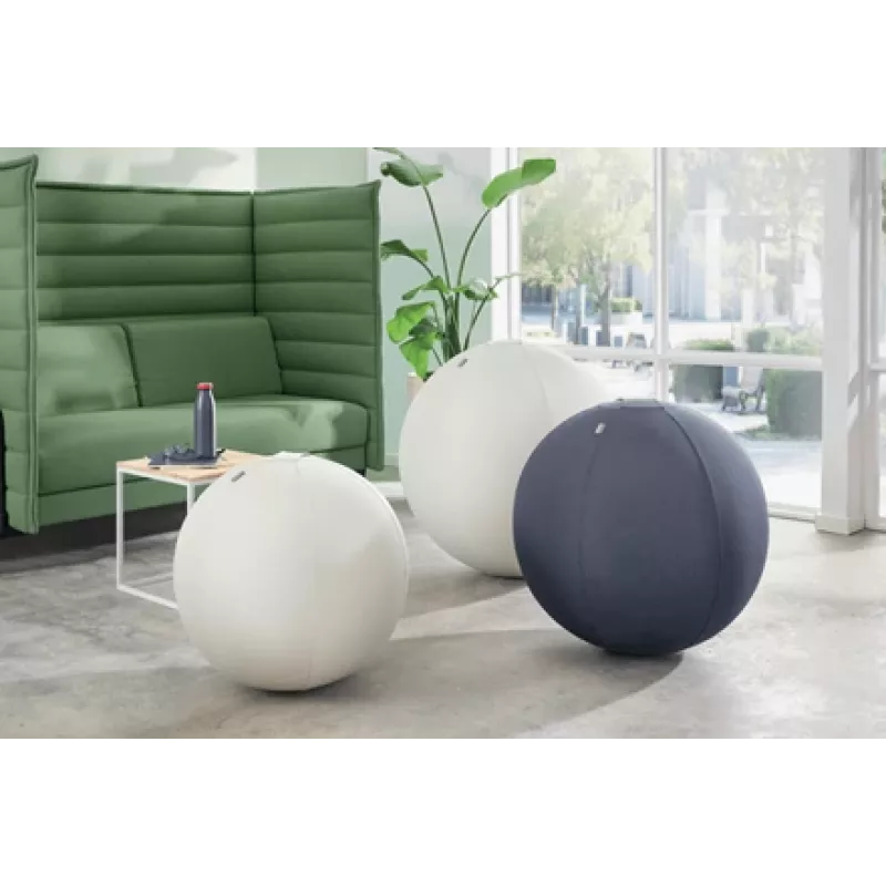 „Leitz Ergo“ aktyvus sėdėjimo kamuolys su stabdymo funkcija 65 cm, pilkas, pilno dydžio, 150 kg, TÜV, 65 cm, 2,87 kg