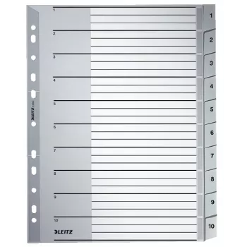Leitz 12800000 skiriamasis skirtukas Skaitmeninis skiriamasis skirtukas Kartonas Pilka