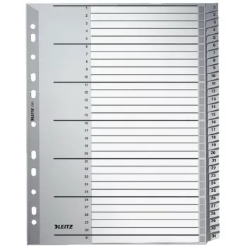 Leitz 12810000 skirtukas Skaitmeninis skirtukas Kartonas Pilka