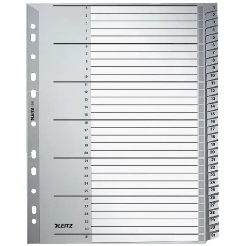 Leitz 12810000 skirtukas Skaitmeninis skirtukas Kartonas Pilka