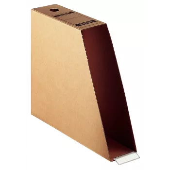 Leitz 60830000 failų laikymo dėžė Kartonas Ruda
