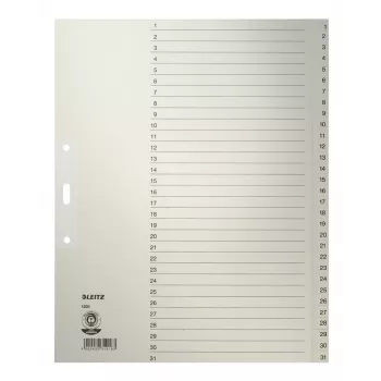 Leitz 12310085 skirtukas su numeriais Skaitmeninis skirtukas Popierius Pilka