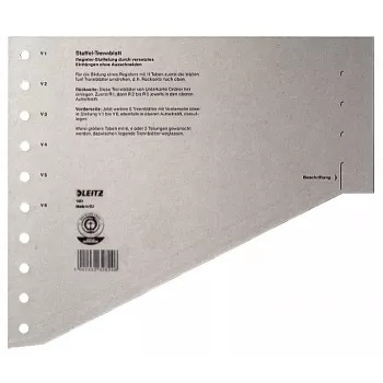 Leitz 16510085 skirtukas Tuščias skirtukas Kartonas Pilka