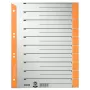 Leitz 16520045 skirtukų rodyklė Skaitmeninė skirtukų rodyklė Kartonas Pilka, oranžinė