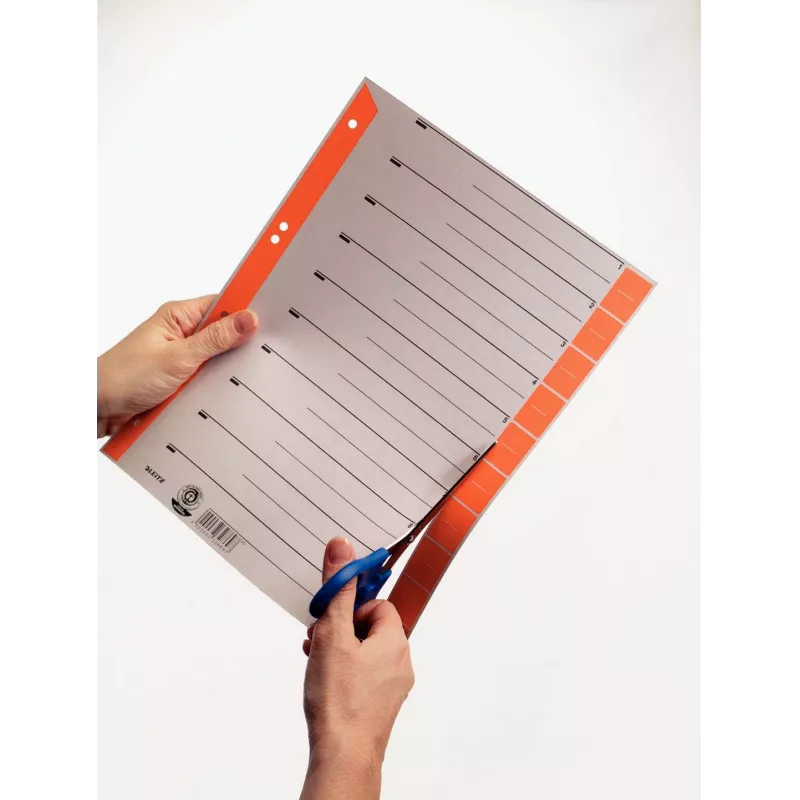 Leitz 16520045 skirtukų rodyklė Skaitmeninė skirtukų rodyklė Kartonas Pilka, oranžinė