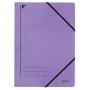Leitz 39800065 aplankas kartoninis Violetinis A4