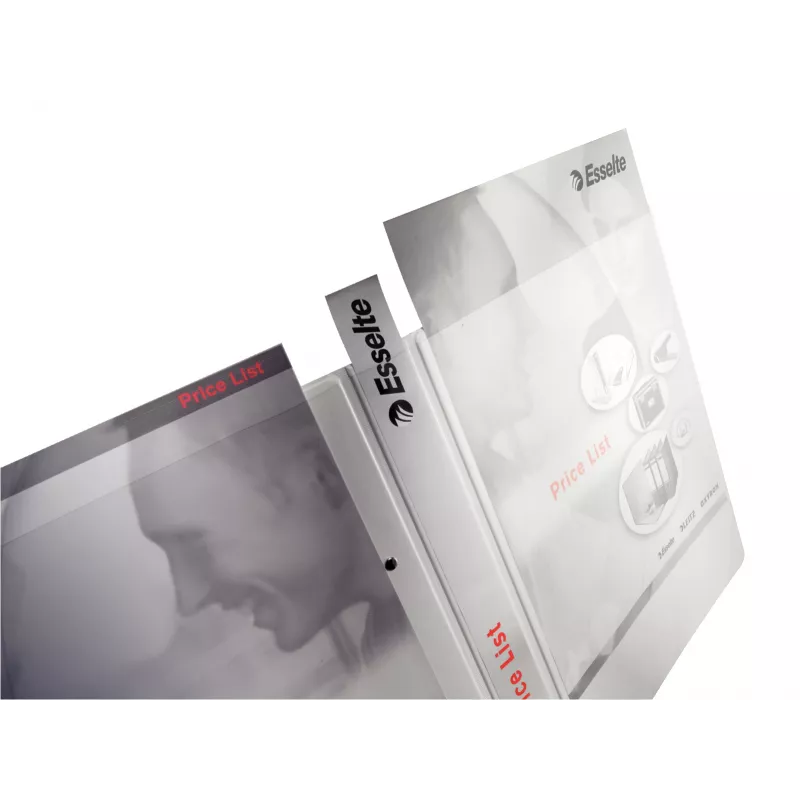 Leitz 42850001 segtuvas A4 baltas
