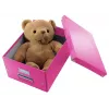 Leitz Click & Store WOW vidutinė saugojimo dėžė, rožinė, kartonas, 16,7 L, 281 mm, 200 mm, 265 x 335 x 188 mm