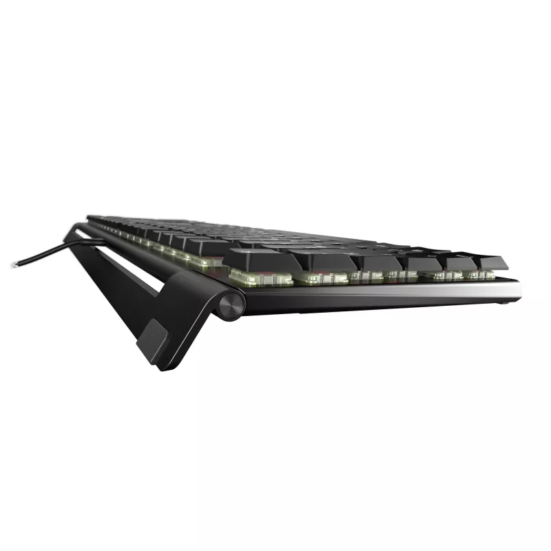 CHERRY MX 10.0N klaviatūra universali USB QWERTY Nordic juoda
