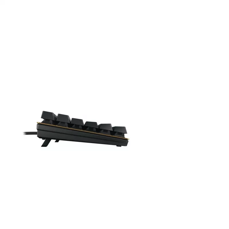Klaviatūra CHERRY KC 200 MX USB QWERTY mechaninė juoda bronzinė 109 klavišai