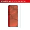 Displex ekrano apsauga + dėklas, skirtas Google Pixel 10 Pro XL, Eko montavimo rėmelis, atsparus įbrėžimams