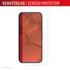 Grūdinto stiklo ekrano apsauga su dėklu, skirta „Google Pixel 10“, gamintojas e.v.i. (DISPLEX Real Glass + dėklas)