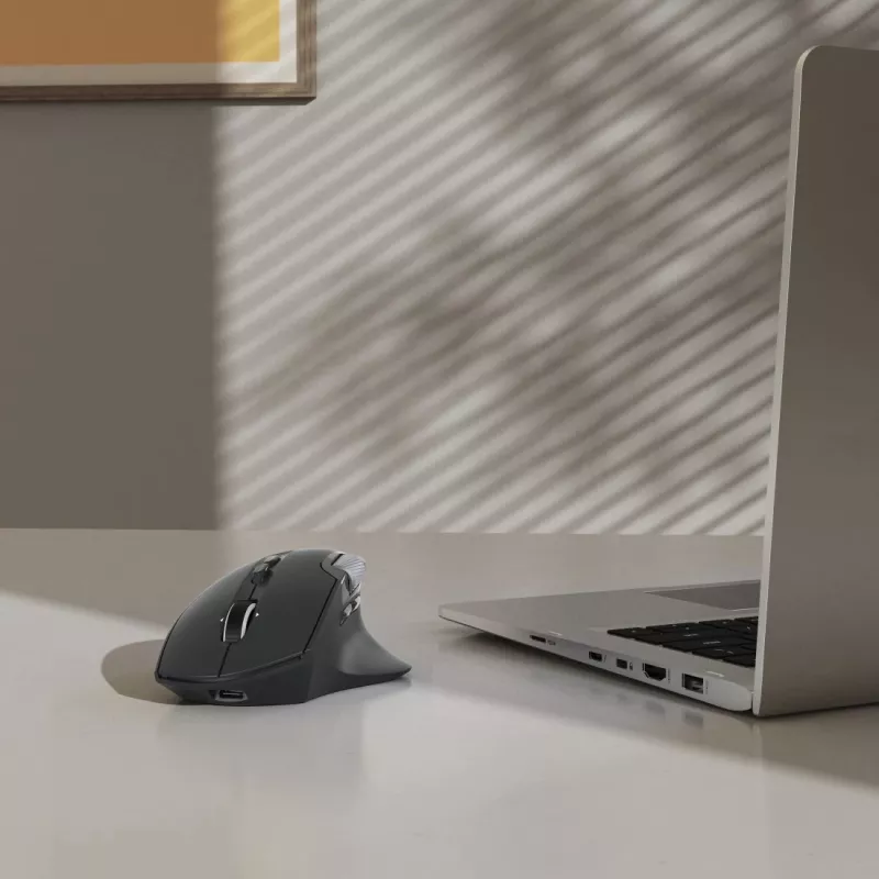 Hama WM-900 pelė Office Dešiniarankiams RF belaidė + Bluetooth Optinė 3200 DPI