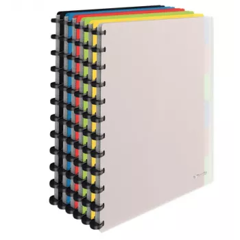 Esselte 624014 segtuvas A4 Įvairių spalvų