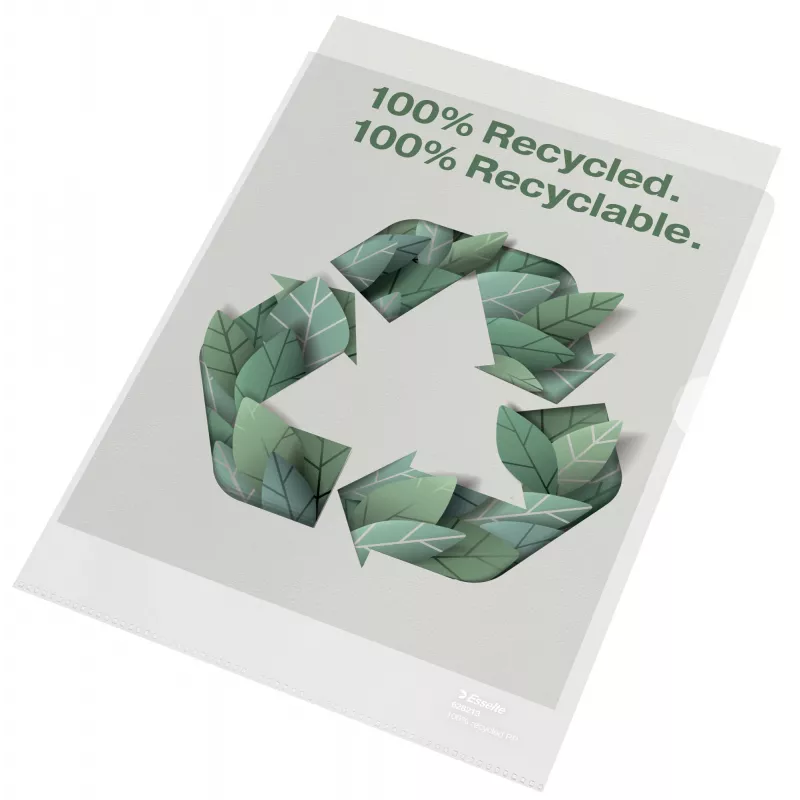 Esselte Recycle aplankas A4, Projektinis aplankas, A4, Polipropilenas (PP), Skaidrus, Vertikalus, 220 mm