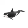 schleich WILD LIFE Banginis žudikas, 3 m., Ledas ir vandenynas, Laukinių gyvūnų / nuotykių žaislai, Daugiaspalvis, Plastikas, 1 vnt.