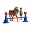 schleich Ponių vikrumo treniruotė, Vikrumas, Ūkio gyvūnai / žaislai apie ūkį, 3 m., Įvairiaspalvis, Plastikas