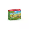 schleich Ponių vikrumo treniruotė, Vikrumas, Ūkio gyvūnai / žaislai apie ūkį, 3 m., Įvairiaspalvis, Plastikas