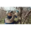 Bosch Pro Pruner Professional belaidė vejos žirklė 2,5 cm 12 V ličio jonų (Li-Ion) juoda, mėlyna