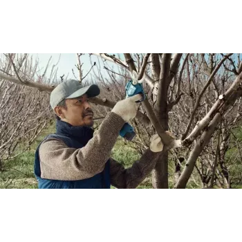 Bosch Pro Pruner Professional belaidė vejos žirklė 2,5 cm 12 V ličio jonų (Li-Ion) juoda, mėlyna