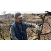Bosch Pro Pruner Professional belaidė vejos žirklė 2,5 cm 12 V ličio jonų (Li-Ion) juoda, mėlyna