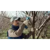 Bosch Pro Pruner Professional belaidė vejos žirklė 2,5 cm 12 V ličio jonų (Li-Ion) juoda, mėlyna
