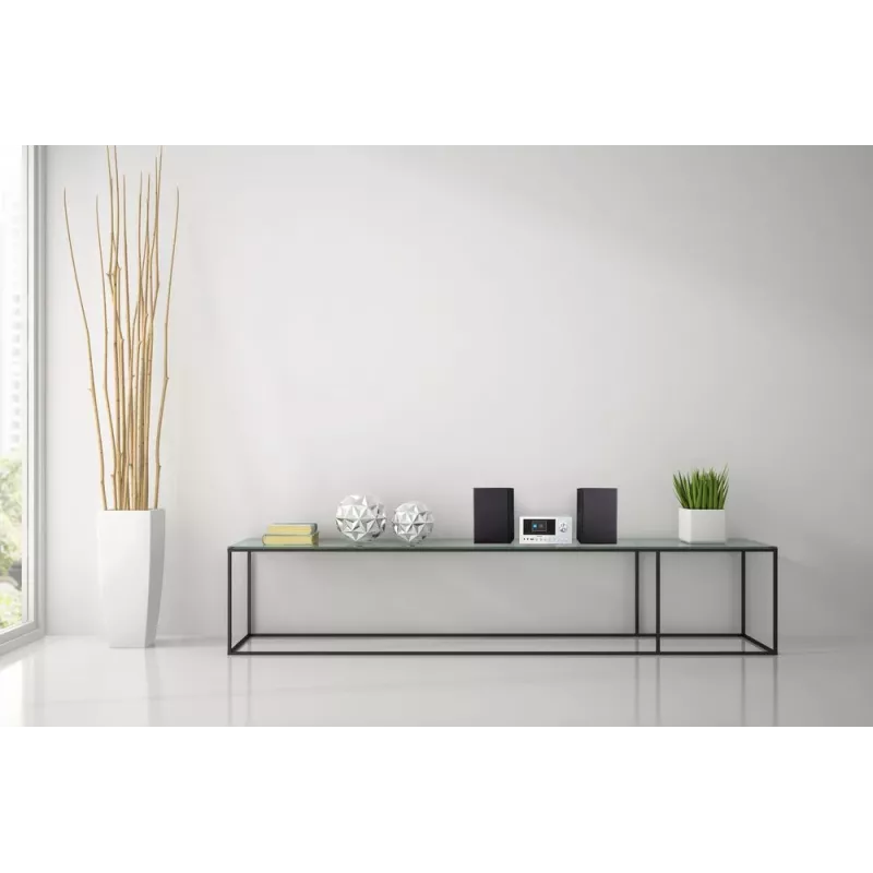 MEDION LIFE P85003 namų garso mikrosistema 30 W juoda, sidabrinė