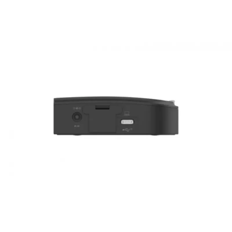 Fujitsu S26391-F6099-L404 sąsajos šakotuvas USB 3.2 Gen 1 (3.1 Gen 1) Type-C juodas