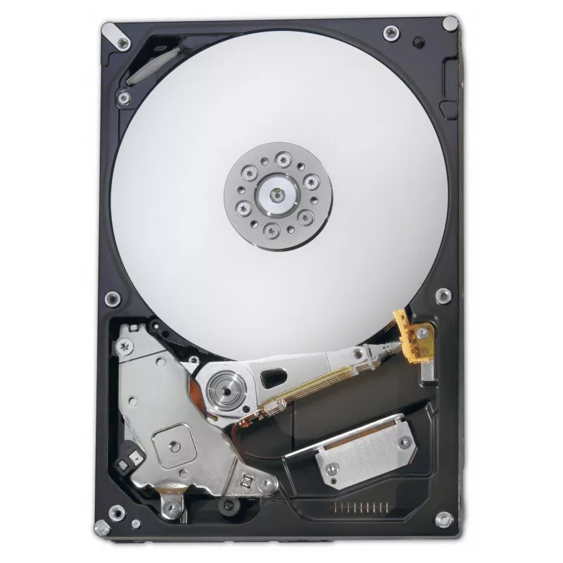 Fujitsu S26462-F3500-L202 vidinis kietasis diskas 2 TB 7200 RPM 3.5 colio Serial ATA III
