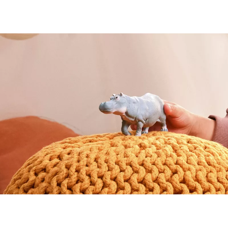 “Schleich WILD LIFE 14938” vaikiška žaislinė figūrėlė