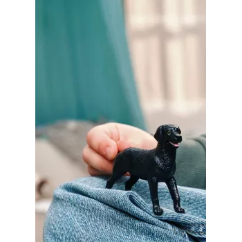 schleich 14922 vaikiška žaislinė figūrėlė