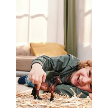 schleich FARM WORLD 14927 vaikiška žaislinė figūrėlė