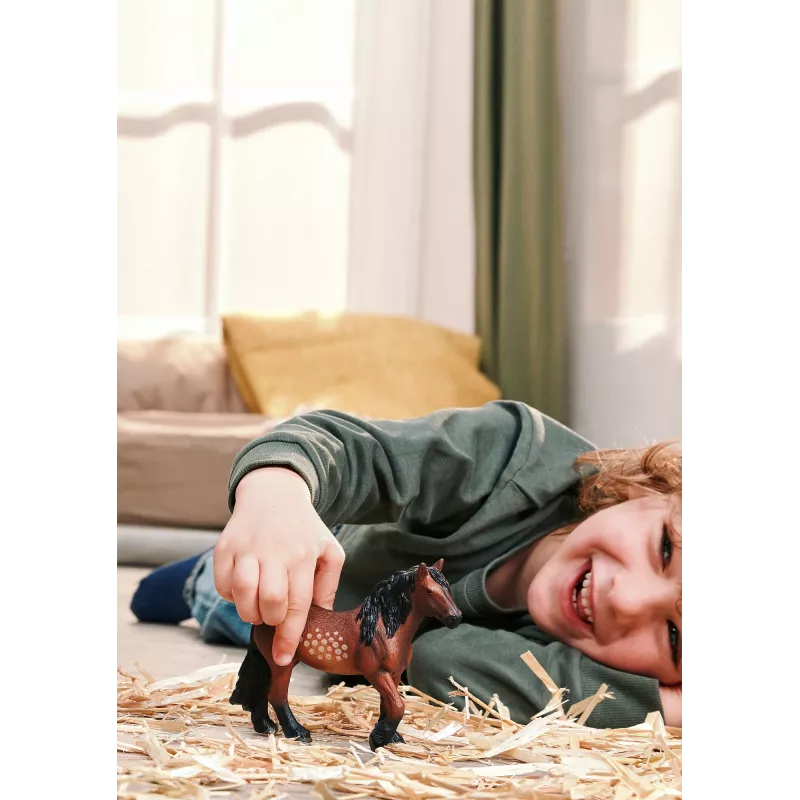 schleich FARM WORLD 14927 vaikiška žaislinė figūrėlė