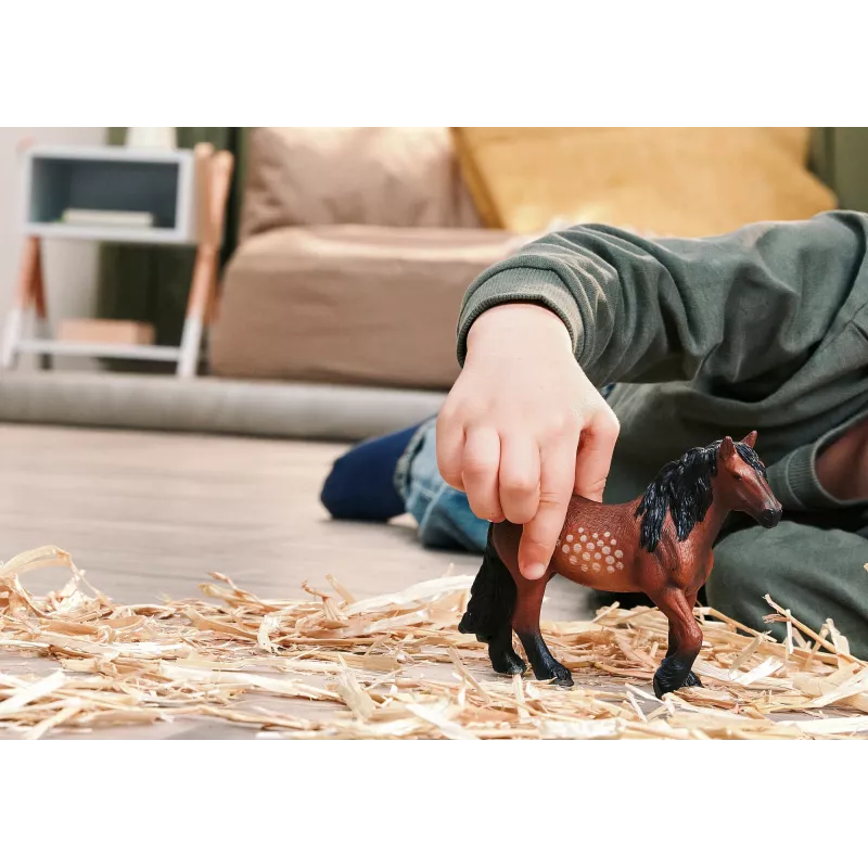 schleich FARM WORLD 14927 vaikiška žaislinė figūrėlė