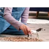 schleich BAYALA 14916 vaikiška žaislinė figūrėlė