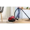 Bosch BGS21CAR dulkių siurblys 2 L Būgninis dulkių siurblys Sausas 750 W Becuklis