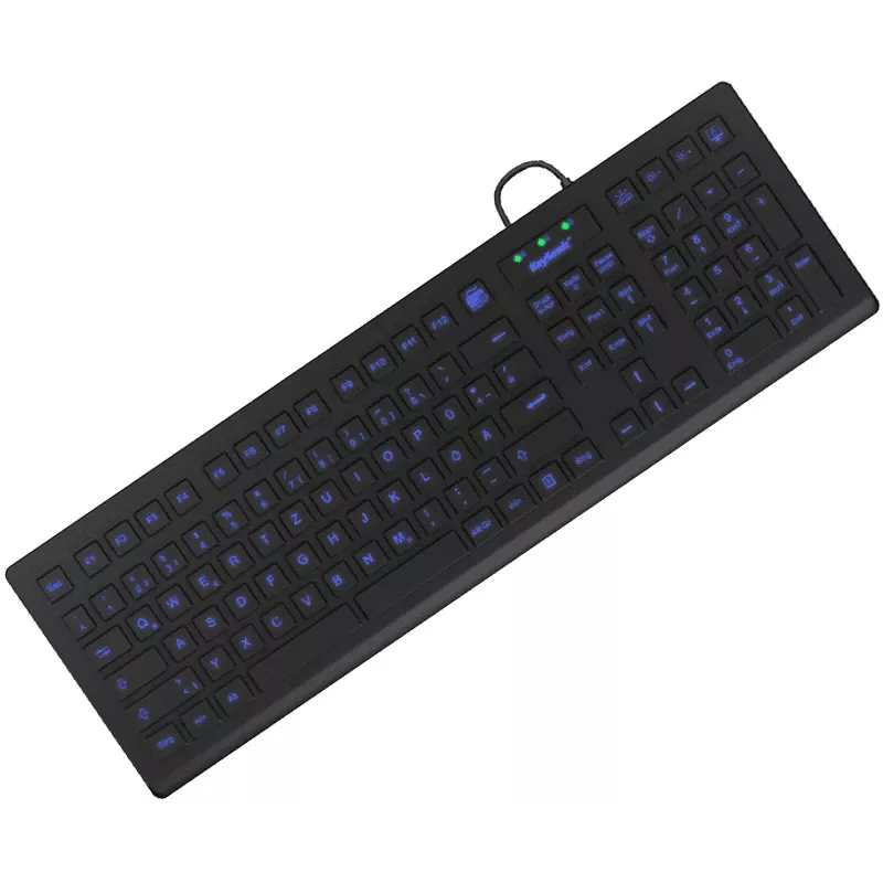 KeySonic KSK-8031INEL-B (DE) klaviatūra, pramoninė, USB, QWERTZ, vokiška, juoda