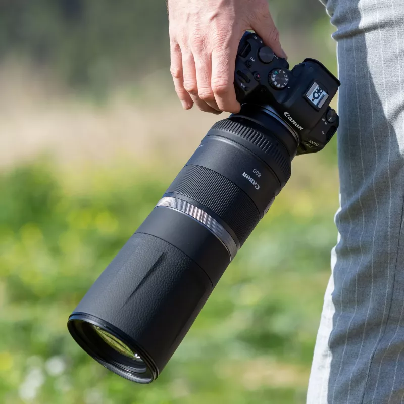 Canon RF 800mm F11 IS STM objektyvas, Teleobjektyvas, 11/8, Canon RF