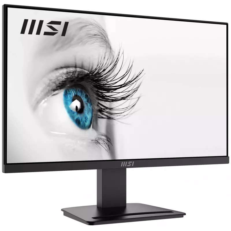 MSI Pro MP2412 kompiuterio monitorius 60,5 cm (23,8 colio) 1920 x 1080 taškų Full HD LCD juodas