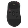 „ZOWIE EC3-DW“ pelė, žaidimams, dešiniarankiams, USB Type-A, optinė, 3200 DPI
