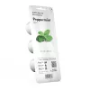 Žolelių vazonas EMSA Click & Grow Pipirmėtė