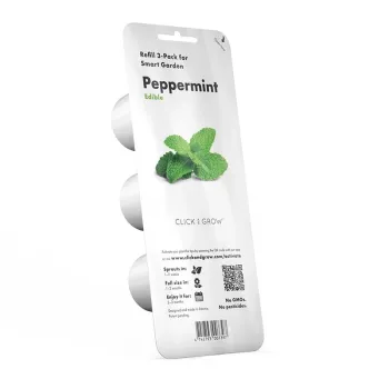 Žolelių vazonas EMSA Click & Grow Pipirmėtė
