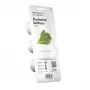 Sodinimo sistema EMSA Click & Grow salotos
