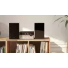 Namų garso mikrosistema Philips TAM4205M2/12 — 80 W RMS, 2 krypčių garsiakalbiai, Bluetooth, FM, LED ekranas, diskų įdėjimo dėklas (juoda/sidabrinė)