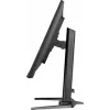 iiyama GB3271QSU-B2 kompiuterio monitorius 80 cm (31,5 col.) 2560 x 1440 pikselių Quad HD LED juodas