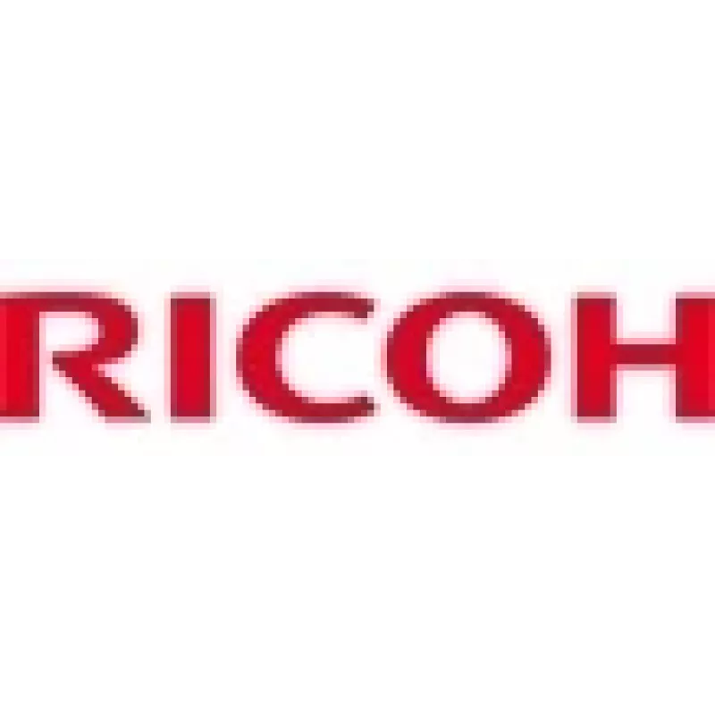 Ricoh atliekų dažų talpykla Type 165 56000 puslapių